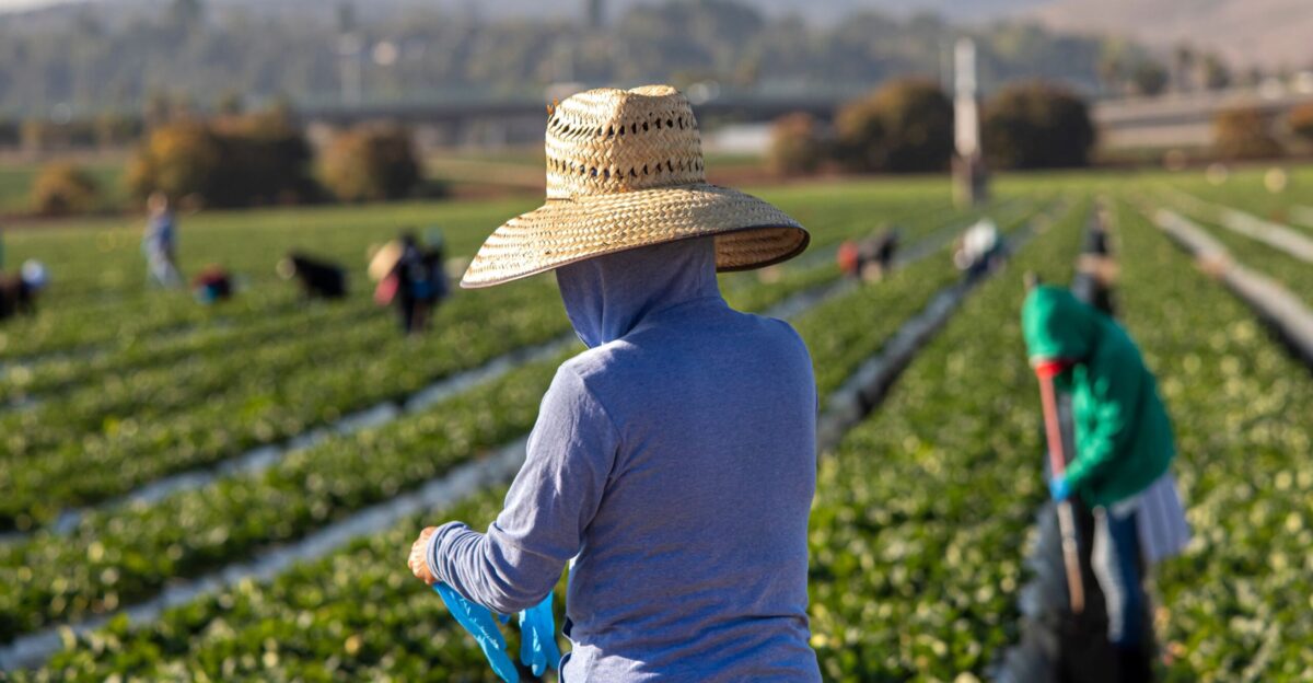 Unfair competition under the USMCA The case of migrant workers on
