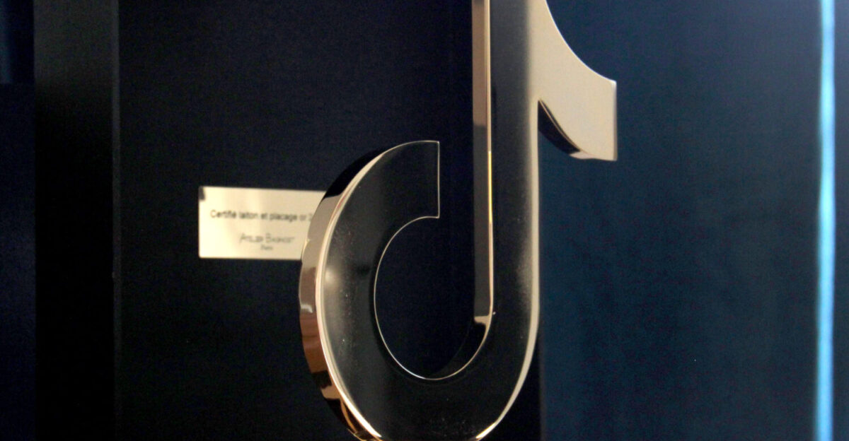 TikTok Short Film Award by Cyril Bagnost